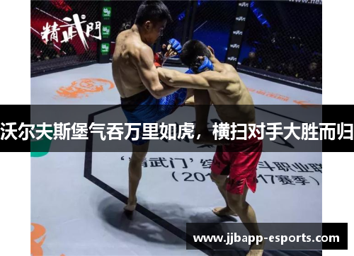 沃尔夫斯堡气吞万里如虎，横扫对手大胜而归