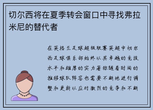 切尔西将在夏季转会窗口中寻找弗拉米尼的替代者