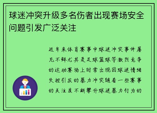 球迷冲突升级多名伤者出现赛场安全问题引发广泛关注